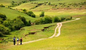 Country walk