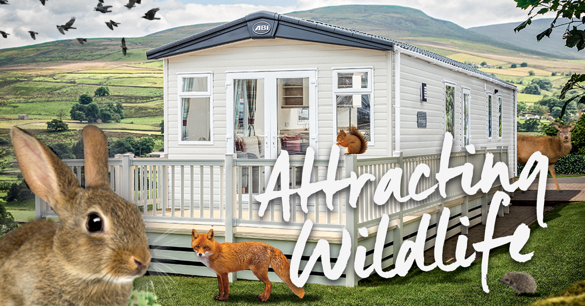 How to attract wildlife to your ABI