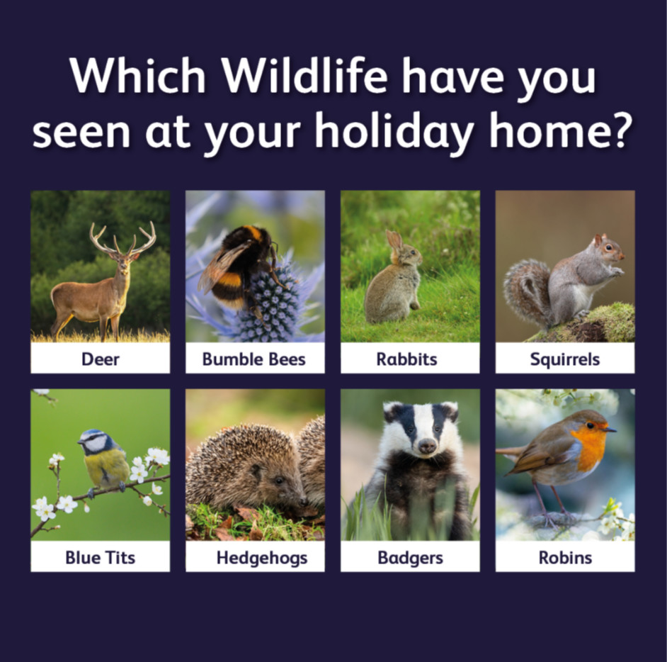 The prickly hedgehogs and buzzy bees are here to stay 🐝

Which wildlife have you spotted so
