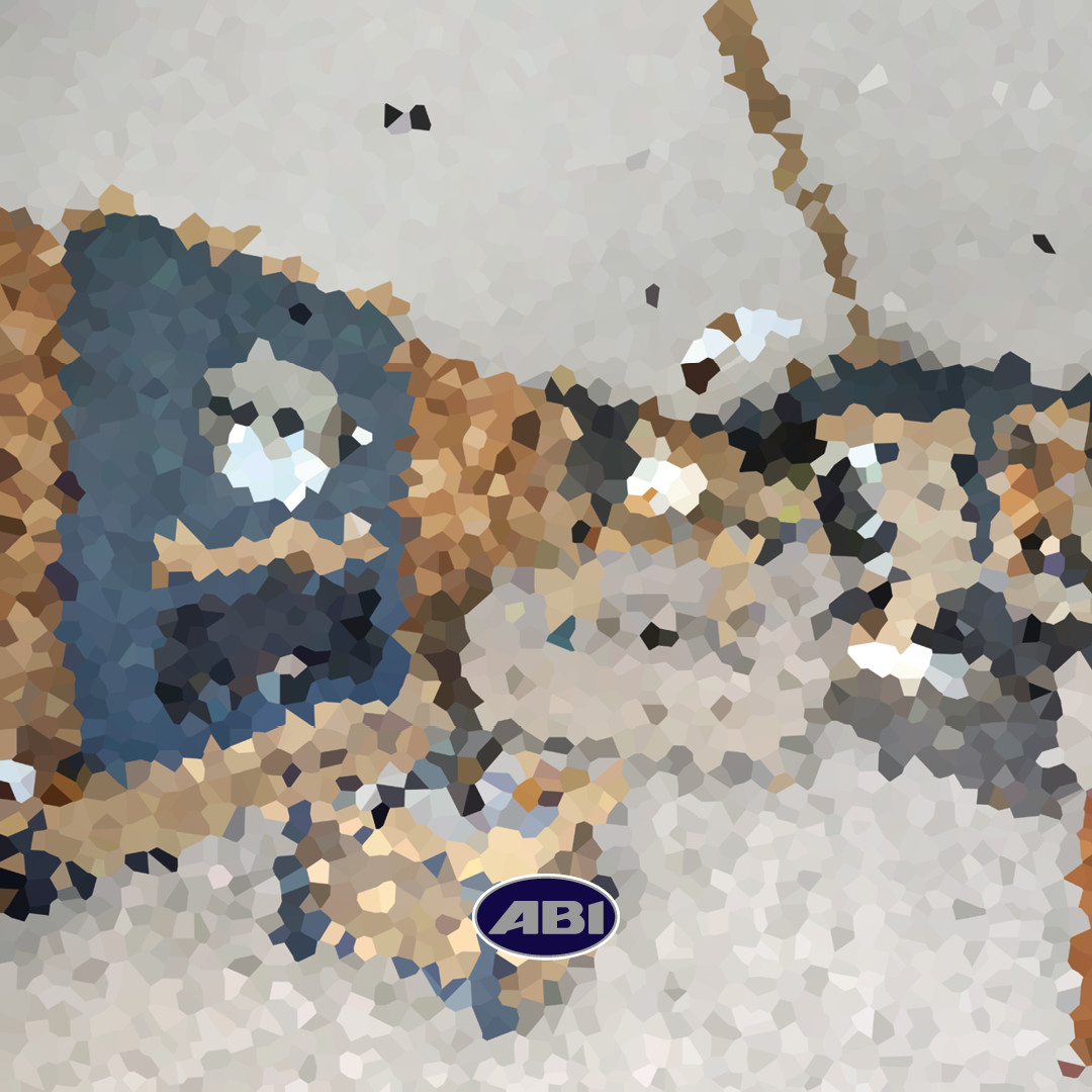 🔍 Friday Fun 🔍

Can you guess which ABI this is? 👇 <a target="_blank" href="