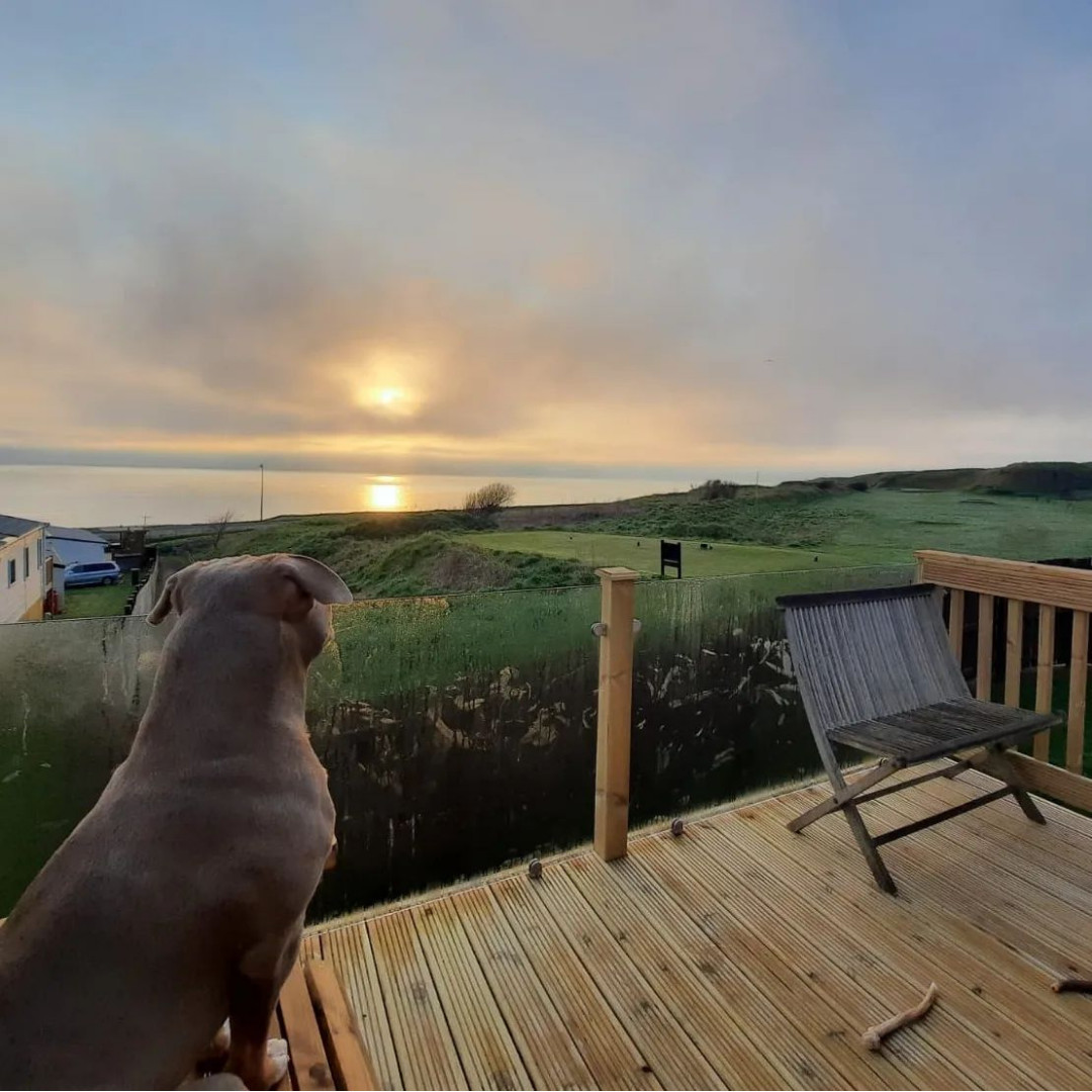 The higher you climb, the better the view at Lizard Lane Holiday Park 🌄

📸 blue_bell