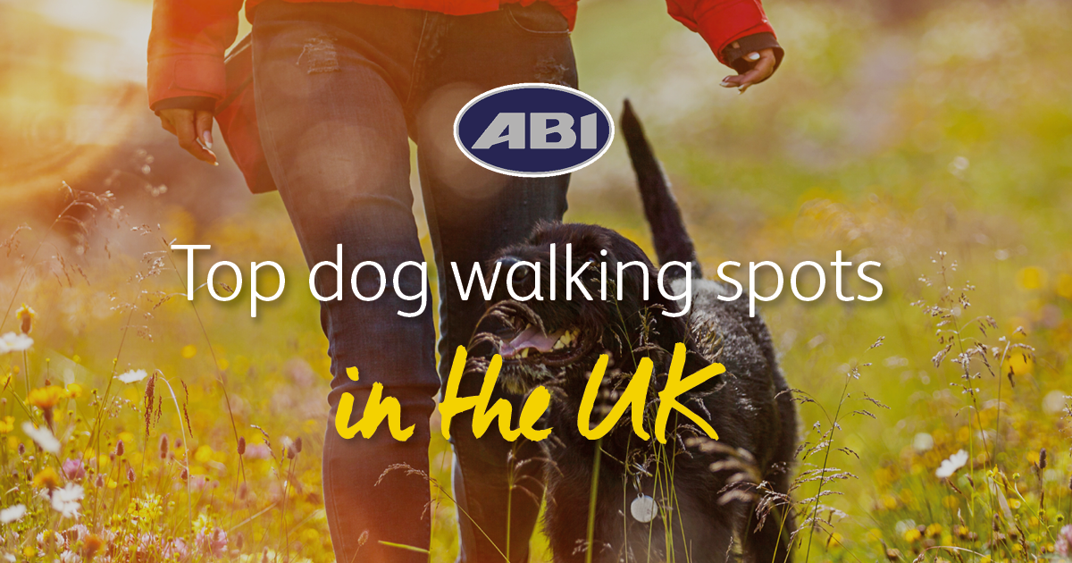Top dog walking spots in the UK